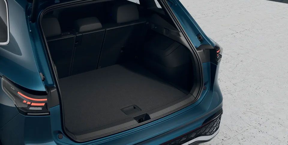 VW Tiguan R-Line in Ggr&uuml;n